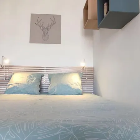 Le Septieme Ciel Cosy En Clermont-Ferrand