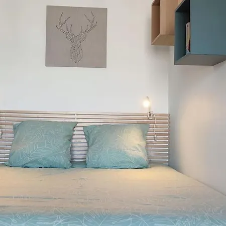 Le Septieme Ciel Cosy En * Clermont-Ferrand